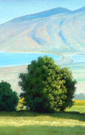 A Quiet Momemt: detailing the grass